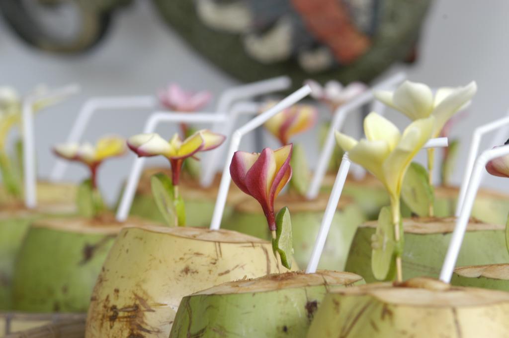Alami Villa Ubud Zewnętrze zdjęcie