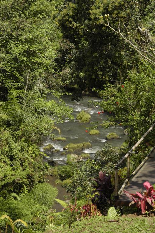 Alami Villa Ubud Zewnętrze zdjęcie