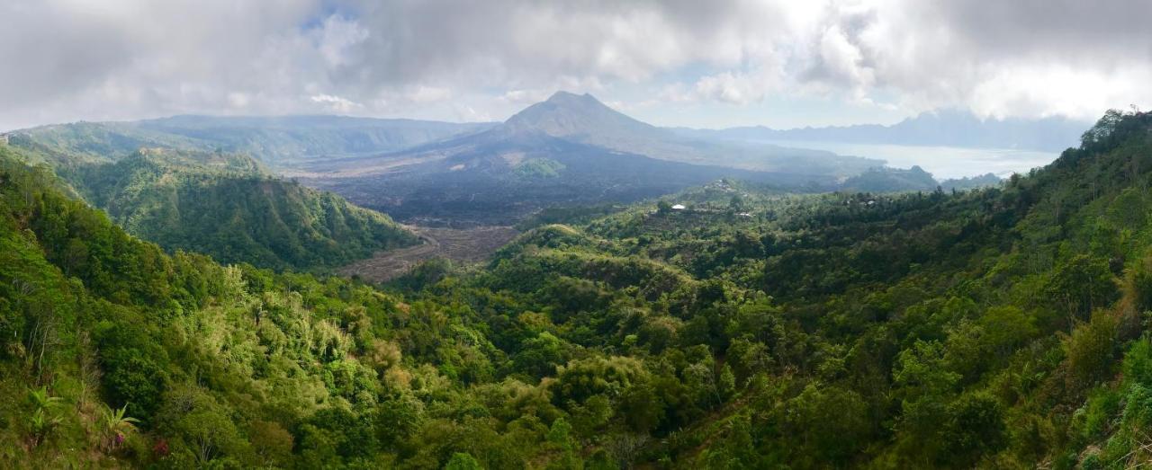 Alami Villa Ubud Zewnętrze zdjęcie